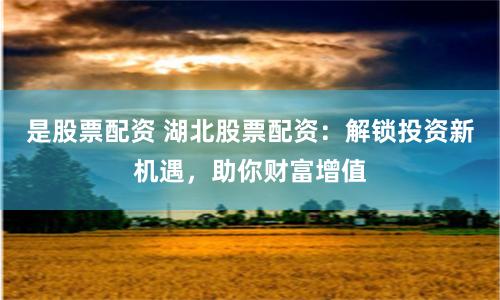 是股票配資 湖北股票配資：解鎖投資新機(jī)遇，助你財(cái)富增值